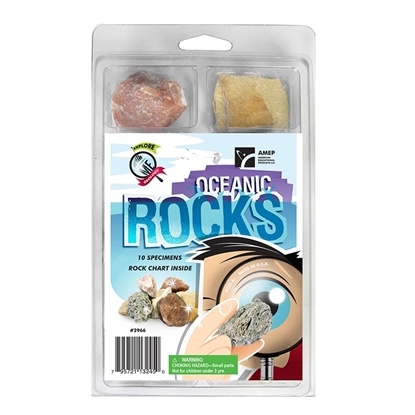 Picture of American Educational Prod 2966  Explore With Me Oceanic Rocks