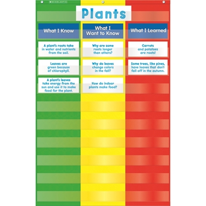 Picture of 3 Column Chart Pocket Chart