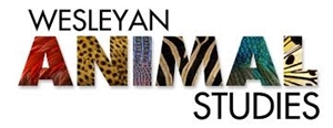 Picture for category Animal Studies