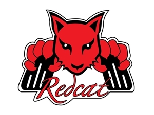 Picture for manufacturer Redcat Racing