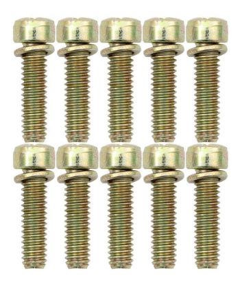 Throttle Body Screws (10pk)
