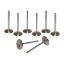 LS3 2.165 Intake Valves 5.195 O.A.L.