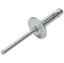 Lg Hd Rivet 250Pk Silver Flange Type Alum Mandrel