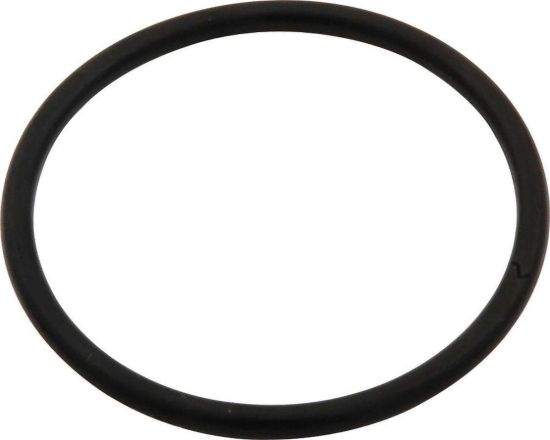 O-Ring for Water Neck