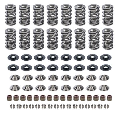GM LS Dual Valve Spring Kit .660 Dia.