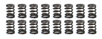 Valve Spring Set