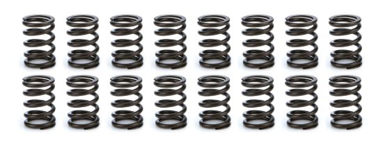 Valve Spring Set