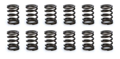 Valve Spring Set