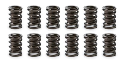 Valve Spring Set