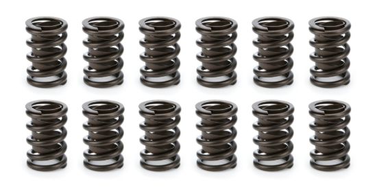 Valve Spring Set