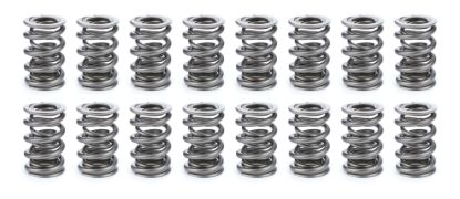 Valve Spring Set