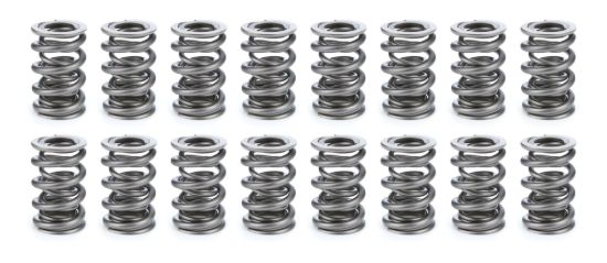 Valve Spring Set