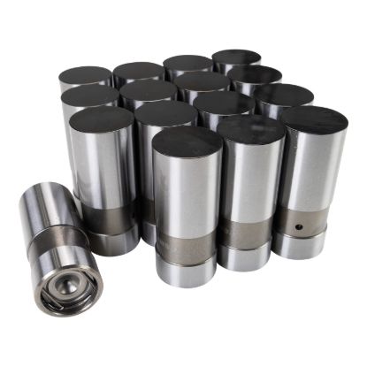 Chevy V8 DLC Hyd Lifter Set - 16pk .842 Dia.