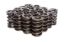 1.384 Dia. Dual Valve Springs- .805 ID.