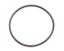 CT1 Seal O-Ring for Seal Plate