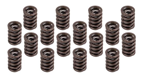 1.460 Valve Spring Set 16