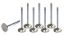 Exhaust Valves 8pk 1.880 x 5.450
