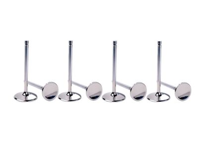 1.460 C/P Intake Valve Ford 5.0L DOHC