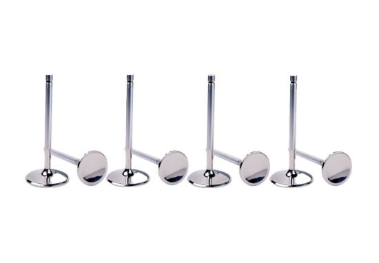 1.460 C/P Intake Valve Ford 5.0L DOHC