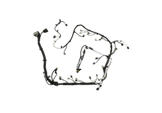 5.0L Coyote Auto Trans Engine Harness