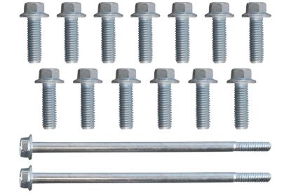 LS Oil Pan Bolt Set Flange Head Bolts