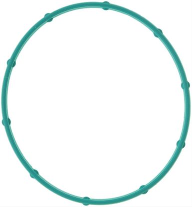 Throttle Body Gasket 05 Chevy 5.3L