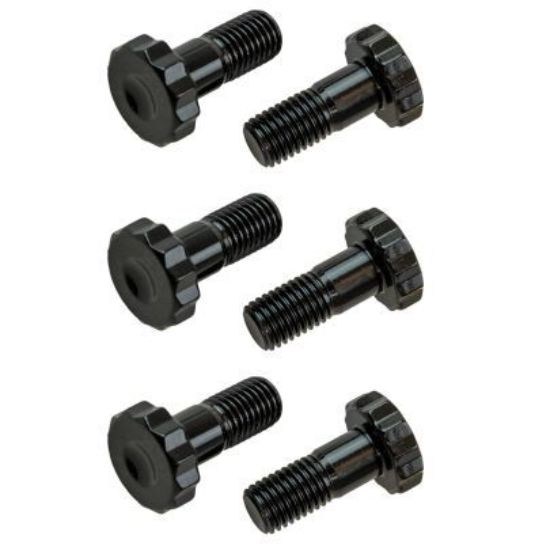 Flexplate Bolt Kit GM LS w/GM Turbo Adapter Plate