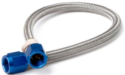 -4an 4ft. Hose w/Blue Ends