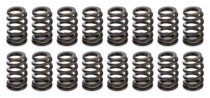 1.105 Valve Springs - Ovate Beehive (16)