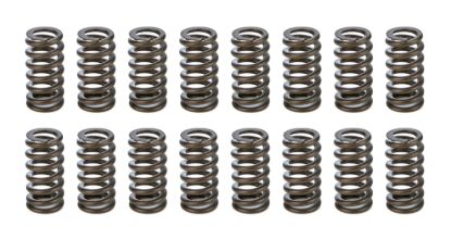 1.025 Valve Springs - Ovate Beehive (16)