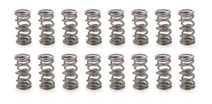1.106 Dual Valve Springs 1300 Series (16)