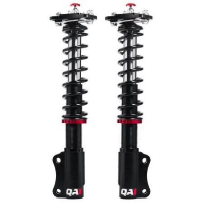 Strut Kit Mustang 05-14 Dbl Adj 150lbs Spring