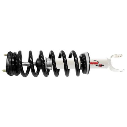 Suspension Strut and Coil Spring