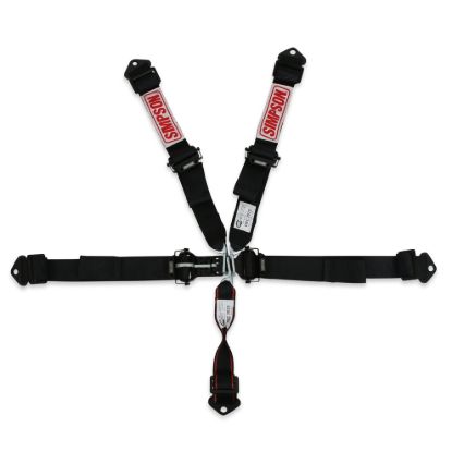 Harness 5pt LL Pull-Down 2in Lap & Shoulder