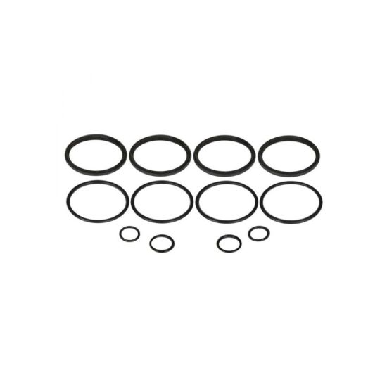 O-Ring Kit - for Early Strange 4-Piston Caliper