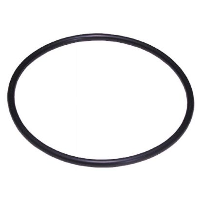 O-Ring 1022