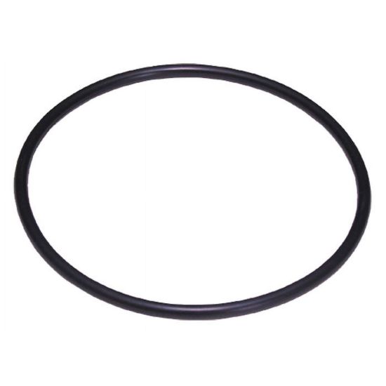 O-Ring 1022