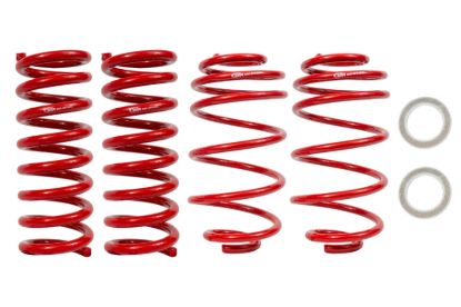 Picture of BMR Suspension Suspension Struts / Shock Absorbers / Coil Springs / Camber Plate Kit - SP031R
