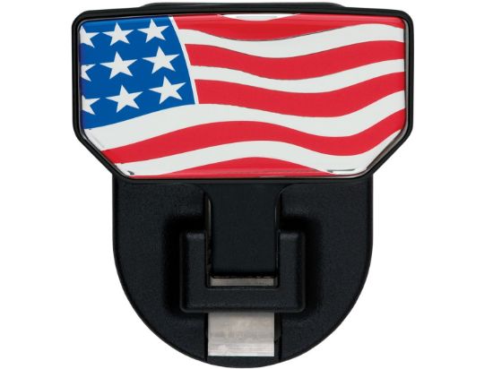 Picture of Carr Receiver Hitch Mounted Step - 183032