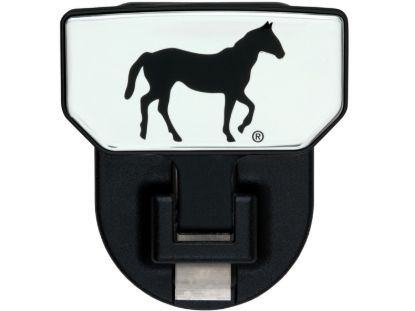 Picture of Carr Receiver Hitch Mounted Step - 183042