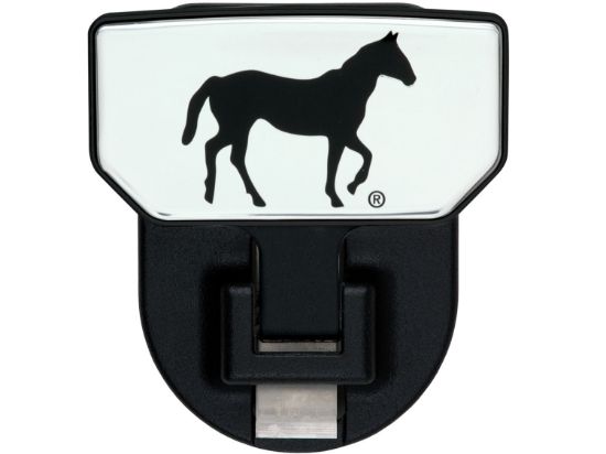 Picture of Carr Receiver Hitch Mounted Step - 183042