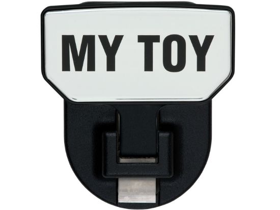 Picture of Carr Receiver Hitch Mounted Step - 183052