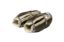 Picture of Corsa Performance Exhaust Heat Shield - AC011