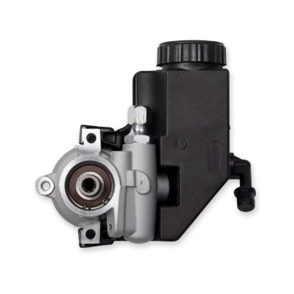 Picture of Detroit Speed - Archived Power Steering Pump - 090904DS