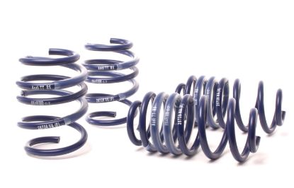Picture of H&R Special Springs LP Coil Spring Lowering Kit - 28728-1