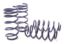 Picture of H&R Special Springs LP Coil Spring Lowering Kit - 28780-1