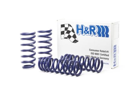 Picture of H&R Special Springs LP Coil Spring Lowering Kit - 28801-1