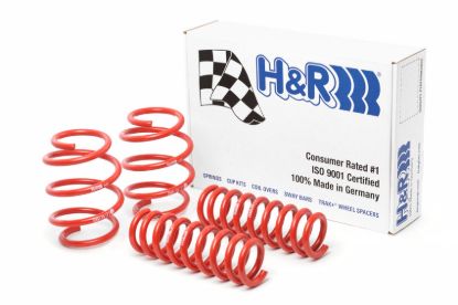 Picture of H&R Special Springs LP Coil Spring Lowering Kit - 28891-2