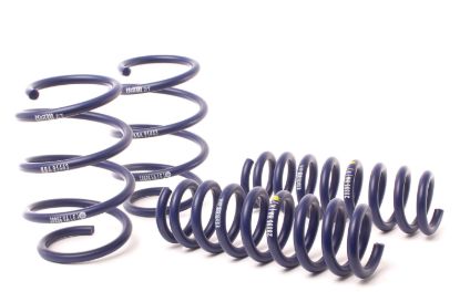 Picture of H&R Special Springs LP Coil Spring Lowering Kit - 28896-3