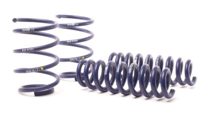 Picture of H&R Special Springs LP Coil Spring Lowering Kit - 28959-2